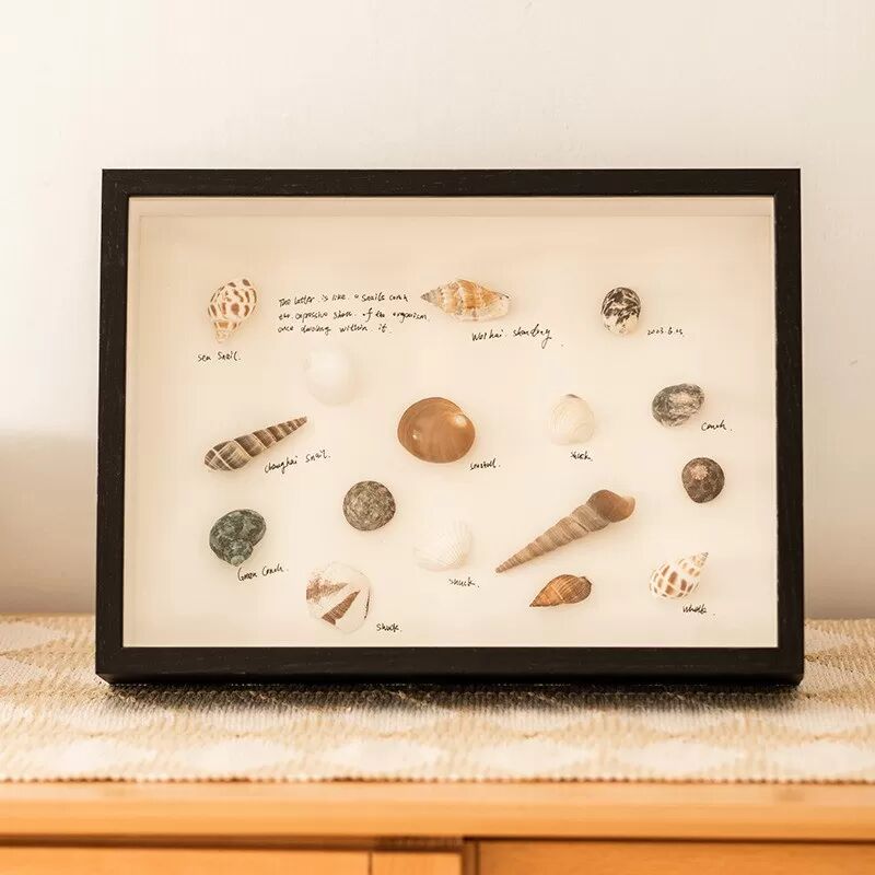 INF DIY Muschel Display Rahmen - Quadratischer 20,3 cm Hohl Fotorahmen für Trockenblumen und Probenausstellung Schwarz