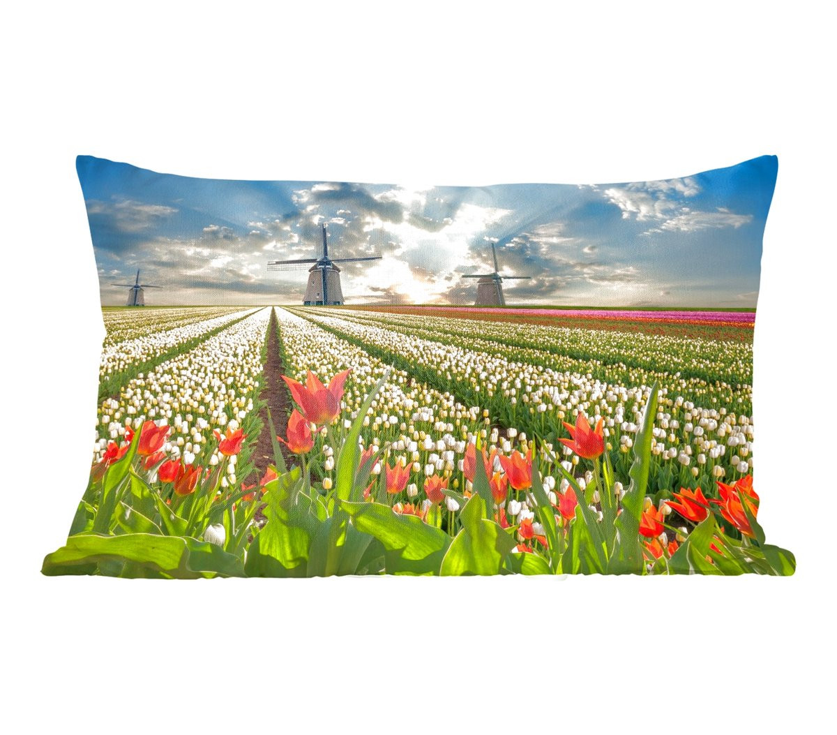 PillowMonkey Sierkussen met Windmolen en Tulpen Design, Lucht en Natuur, 50 x 30 cm