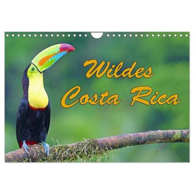 Wildes Costa Rica (Wandkalender 2027 DIN A4 quer), CALVENDO Monatskalender