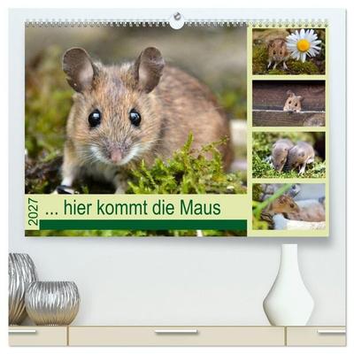 ... hier kommt die Maus... (hochwertiger Premium Wandkalender 2027 DIN A2 quer), Kunstdruck in Hochglanz