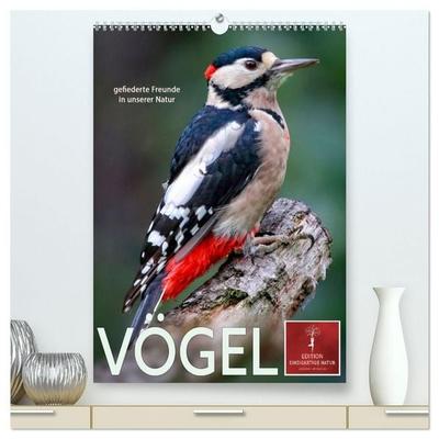 Vögel - gefiederte Freunde in unserer Natur (hochwertiger Premium Wandkalender 2027 DIN A2 hoch), Kunstdruck in Hochglanz
