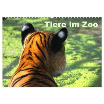 Tiere im Zoo (Wandkalender 2027 DIN A2 quer), CALVENDO Monatskalender