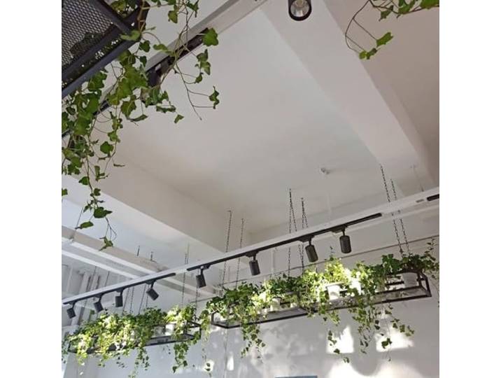 Renmlion Deckenregal Hängeregal für Pflanzen Blumen Dekoration schwebendes Regal hängende Wandregale aus Eisen Präsentationsregal Weinhalter für Bar, Keller, Garage, Restaurant(120x25x15cm)