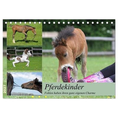 Pferdekinder - Fohlen haben ihren ganz eigenen Charme (Tischkalender 2027 DIN A5 quer), CALVENDO Monatskalender