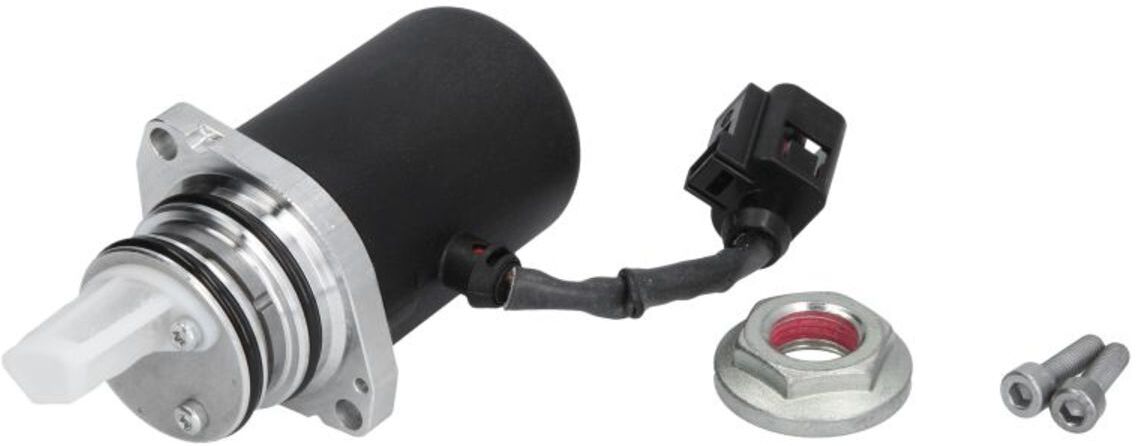Öldruckpumpe BORG WARNER BW118611