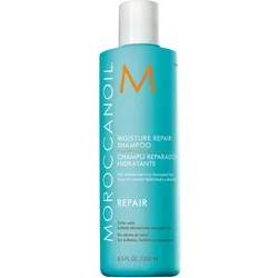 Moroccanoil Moisture Repair Shampoo