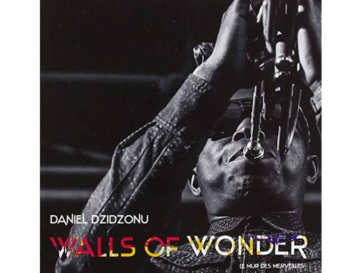 Daniel Dzidzonu - Walls Of Wonder