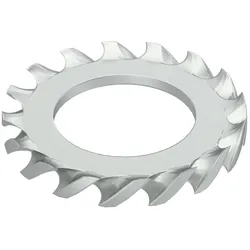 OBO 3404102 Fächerscheibe M10 Stahl galvanisch verzinkt SWS M10 G  - 100 Stück
