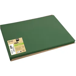 PROnappe Platzsets Tiss Lack 30 x 40 cm tannengrün
