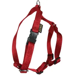 Arka Standard Hundegeschirr (Hund, Spazieren), Halsband + Leine