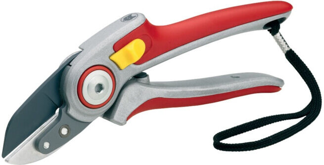 WOLF-Garten Sécateur de jardin RS 5000 PROFESSIONAL (73AFA007650)