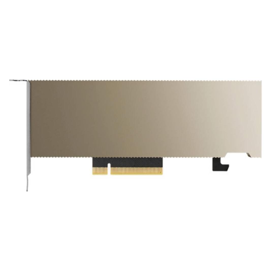 PNY NVIDIA Module (16 GB, GDDR6) (TCSA2MATX-PB)