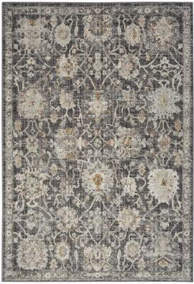 Nourison Oushak Home Indoor Persian Area Rug