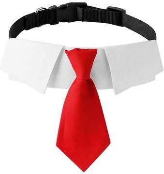 Uplift Treasures Formal Dog Wedding Suit Necktie Collar 1 l