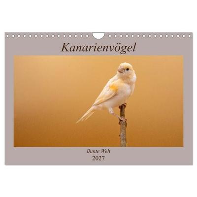 Kanarienvögel - Bunte Welt (Wandkalender 2027 DIN A4 quer), CALVENDO Monatskalender