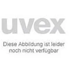 Uvex pronamic Gittervisier ESS 9916191