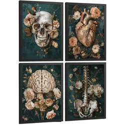 POSTER Set aus 4 Anatomie Drucke und mit Schädel Herz Gehirn Wirbelsäule Skelett Becken Klassisches Florales Design Größe Schwarzer Rahmen A3