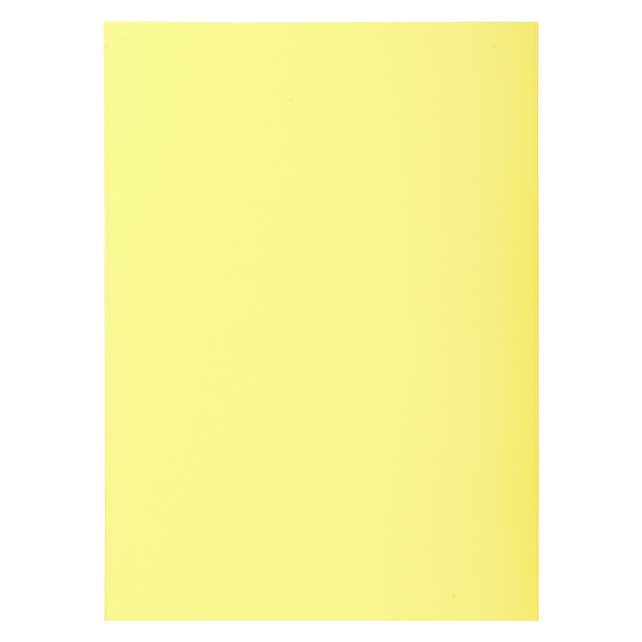 Exacompta Sammelmappen - Aktendeckel (A4) (850005E)