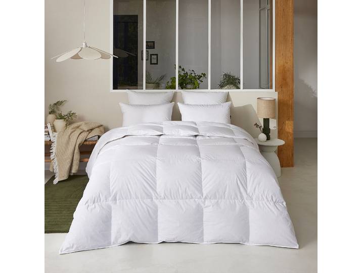 HABITAT - Oreiller ferme en duvet et plumettes - 950 g - 65 x 65 cm - Naturelle