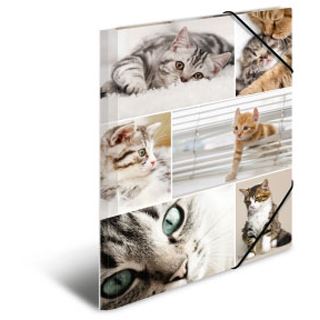 HERMA Eckspannermappe "Katzen", aus Karton, DIN A4