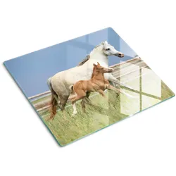 GLASPLATTE 60x52 cm Stute mit Fohlen