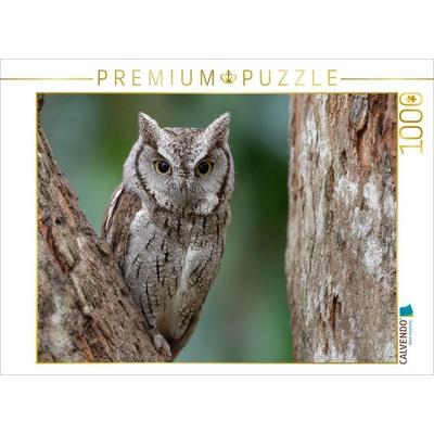 CALVENDO Puzzle Winzige Zwergohreule getarnt im Baumstamm | 1000 Teile Lege-Größe 64x48cm Foto-Puzzle für glückliche Stunden