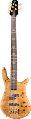 Spector Euro 5 CST Natural Gloss Natur Hochglanz