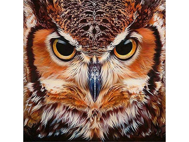 Yingxin34 Puzzle Klassisches 5000 Teile Süße Eule Puzzle -61.61x41.53 Zoll (156.5 x 105.5cm)