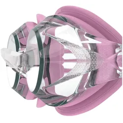 Speedo, Schwimmbrille