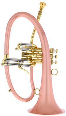 Taylor Trumpets Phat Boy