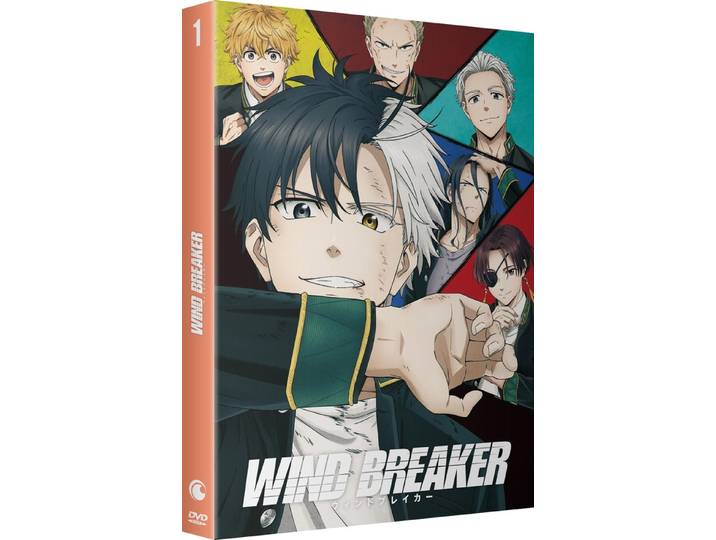 Wind Breaker - Saison 1