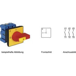 Kraus&amp;Naimer Hauptschalter Not-Aus KG64B T203/04 E