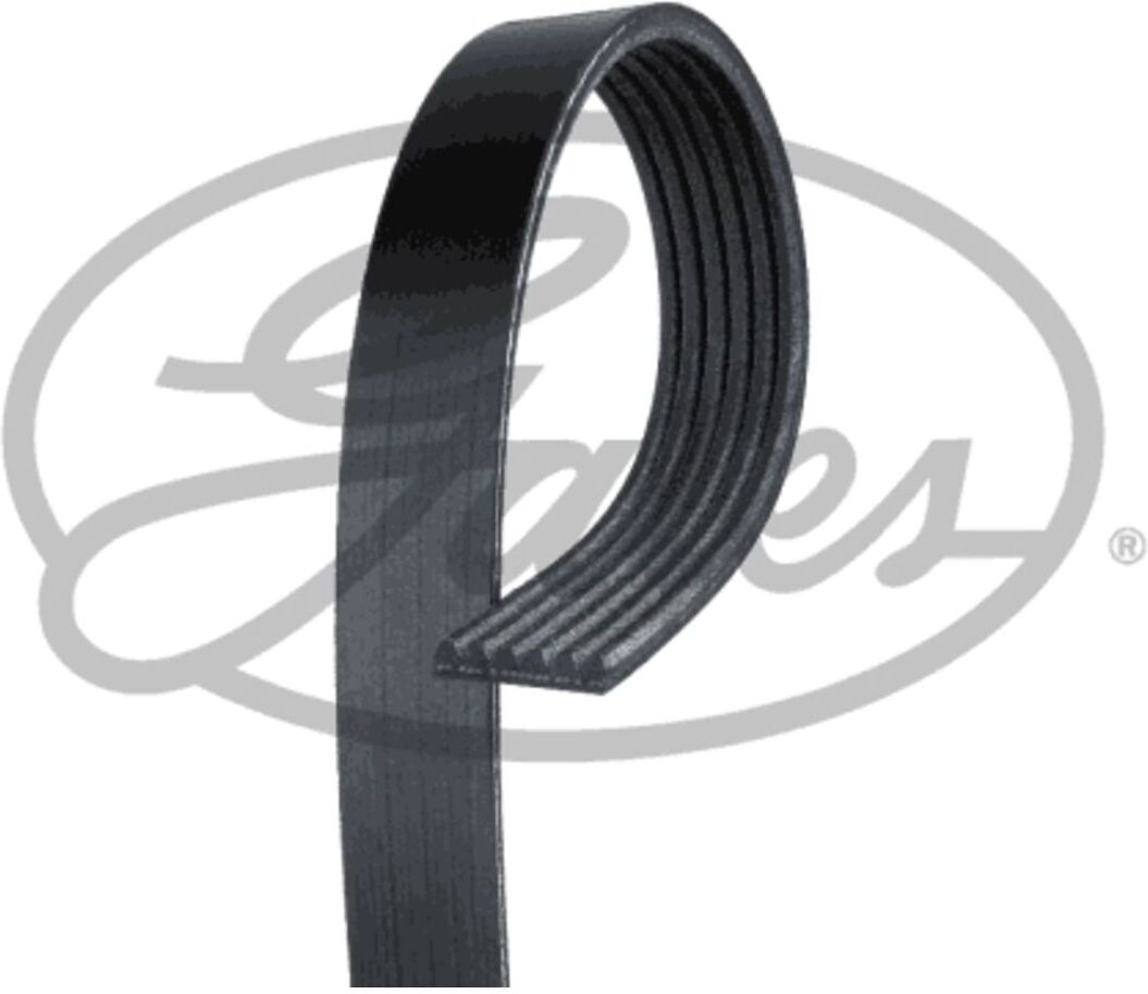 Gates Cinghia Poly-V 6PK2580XS