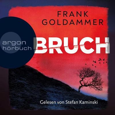 Bruch - Ein dunkler Ort - Frank Goldammer, Audio, 9783732405039