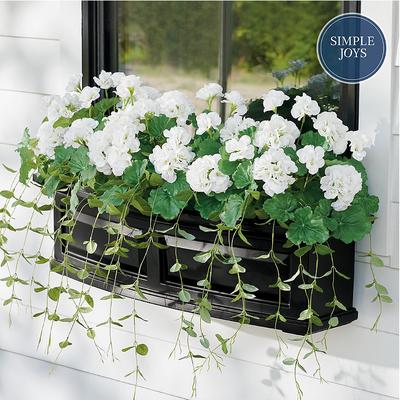 Geranium Window Box Fillers - White - Grandin Road