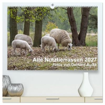Alte Nutztierrassen 2027 (hochwertiger Premium Wandkalender 2027 DIN A2 quer), Kunstdruck in Hochglanz