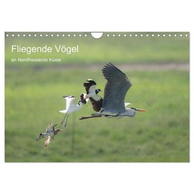 Fliegende Vögel an Nordfrieslands Küste (Wandkalender 2027 DIN A4 quer), CALVENDO Monatskalender