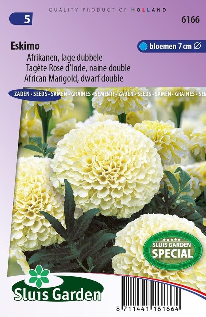 Sluis Garden Tagetes Patula zaden Eskimo Afrikaantje erecta
