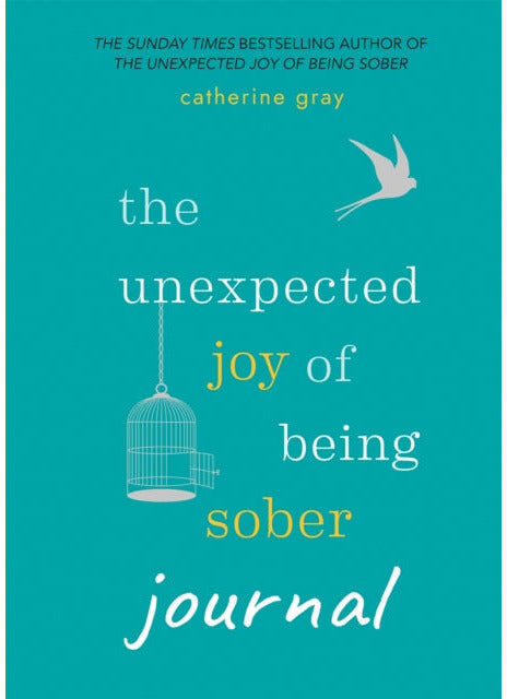 Aster The Unexpected Joy of Being Sober Journal: THE COMPANION TO THE SUNDAY TIMES BESTSELLER by Catherine Gray