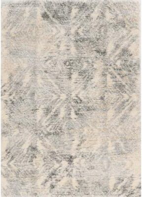 Porch & Den Corylus Vintage Geometric Shag Area Rug