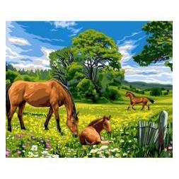 Koh-i-Noor Malowanie po numerach 40x50cm Konie na łące (63884206)