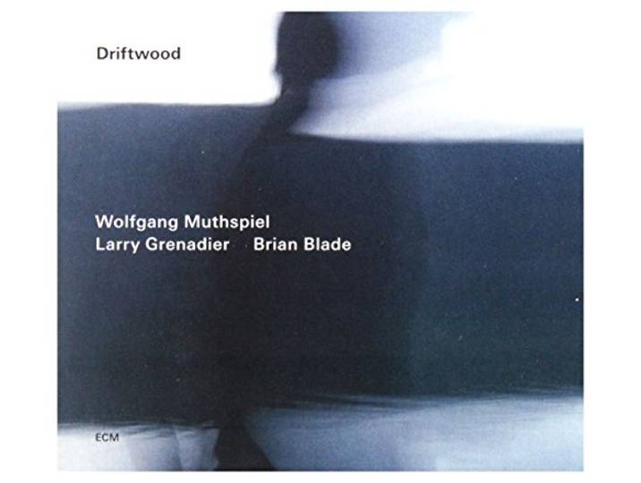 Wolfgang Muthspiel & Larry Grenadier - Driftwood
