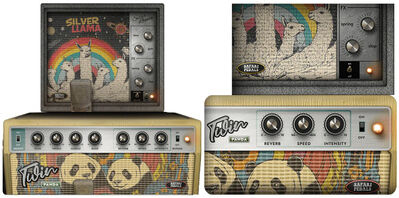 Safari Audio Planet of the amps