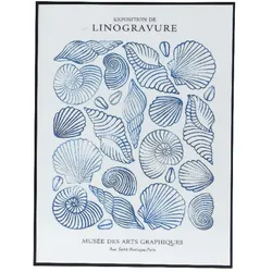 Bild MUSCHELN (LBH 40x2,50x30 cm) - weiß - LBH 40x2,50x30 cm