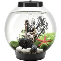 Oase 71999 biOrb CLASSIC 15 LED schwarz Aquarium EEK: G (A - G) 15 l mit LED-Beleuchtung