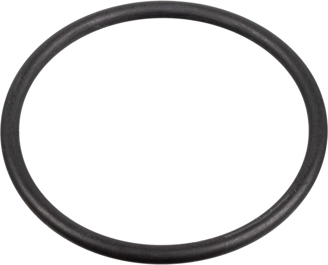 Febi Bilstein Guarnizione, pompa carburante 172666