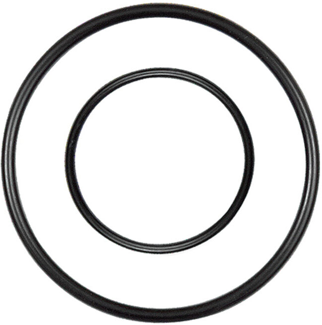 Riegler Joint de rechange pour filtre/régulateur en acier inoxydable, BG 4 (580FM4-ED)