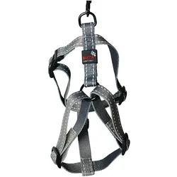 Martin Sellier M (M, Hund, Spazieren), Halsband + Leine