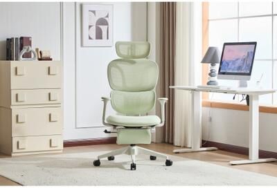 toswini Mesh High Back Office Chair with Dynamic Lumbar Support and Footrest