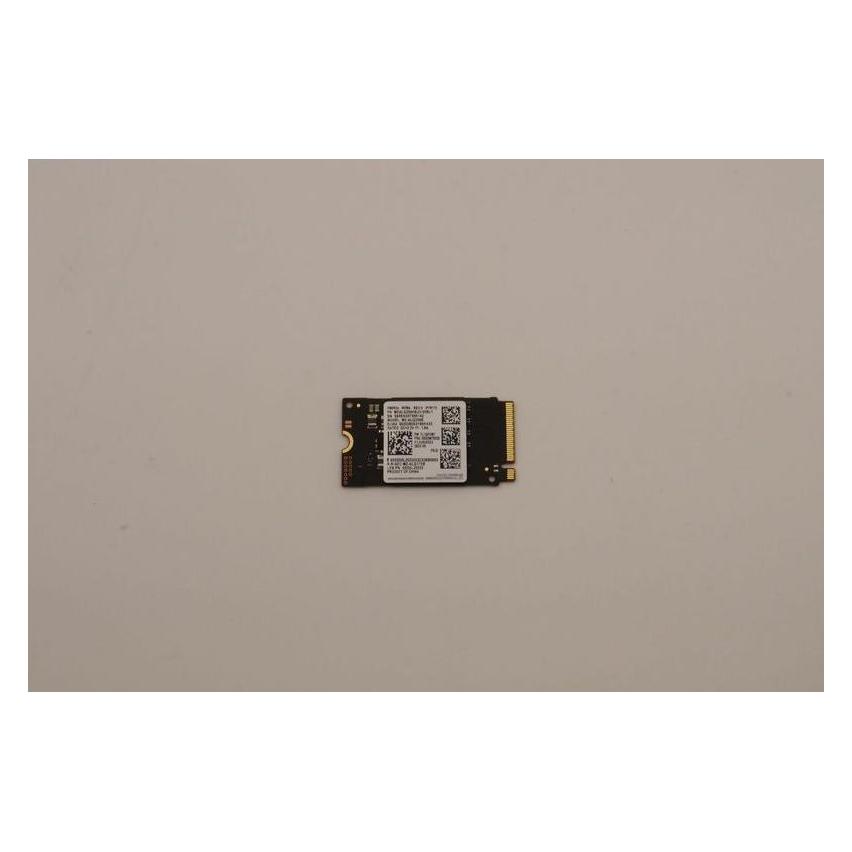 Lenovo Ssd asm (256 GB, M.2 2242) (5SS0W79528)
